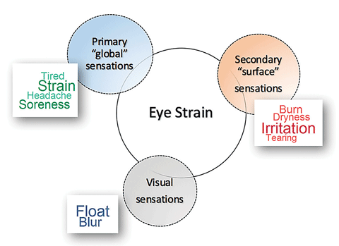 A diagram demonstrating the results of a confirmatory factor analysis