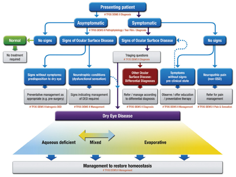 Fig. 1. CLASSIFICATION OF DRY EYE DISEASE. The upper portion represents a clinical decision algorithm, beginning with the assessment of symptoms and followed by review for signs of ocular surface disease. DED exhibits both symptoms and signs, and can be differentiated from other ocular surface disease with the use of triaging questions and ancillary testing. It is to this DED group that diagnostic subtyping, and conventional dry eye management strategies, apply. The lower portion of the figure represents the etiological classification of DED and highlights the two predominant and non-mutually exclusive categories: aqueous deficient dry eye (ADDE) and evaporative dry eye (EDE).  Adapted and reprinted from Ocular Surface (2017) 276–283, Craig JP, Nichols KK, Nichols JJ, et al. TFOS DEWS II definition and classification report, p. 281, © 2017, with permission from Elsevier.