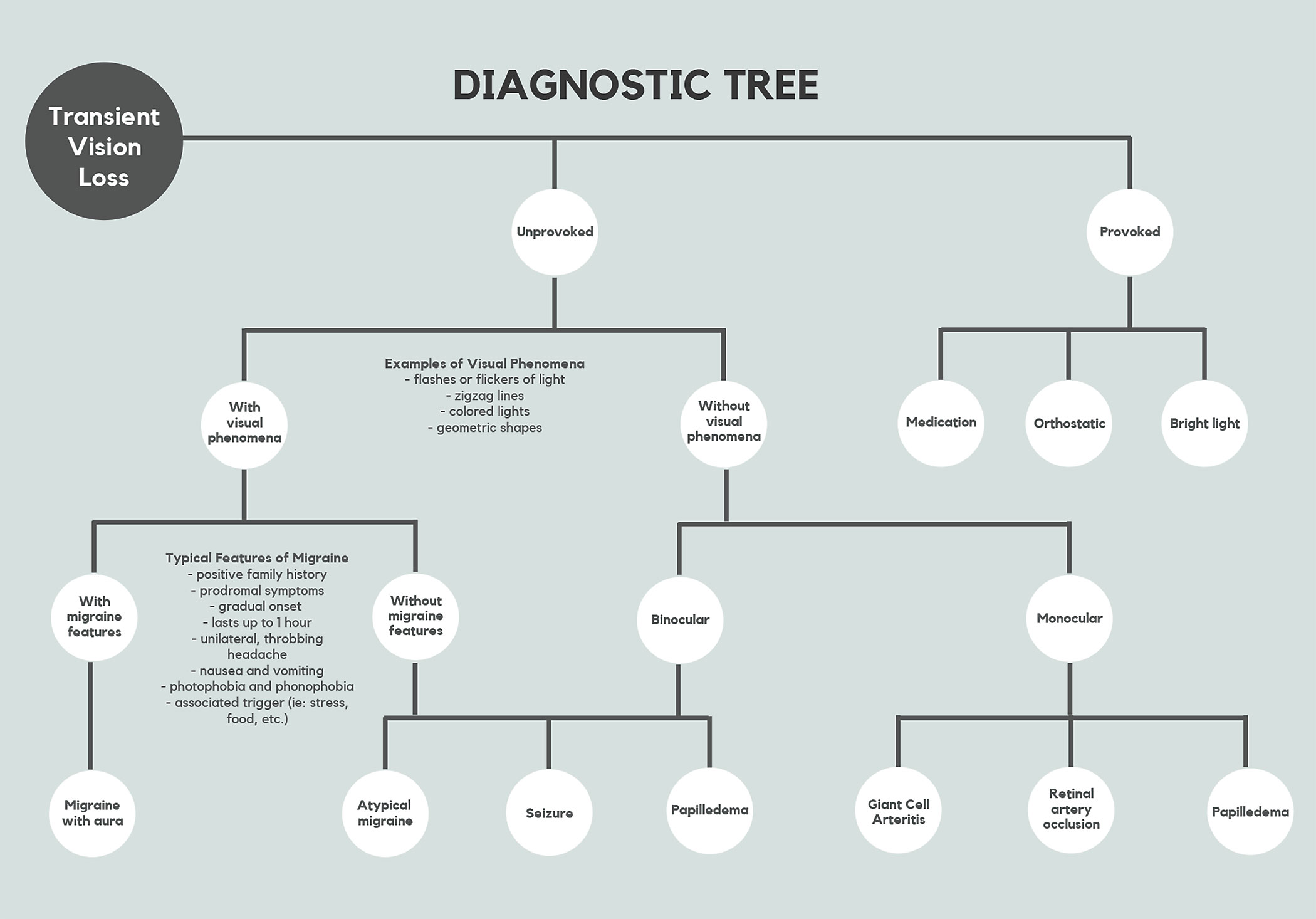 Fig. 1. This flow chart offers a way to navigate TMVL’s various presentations.