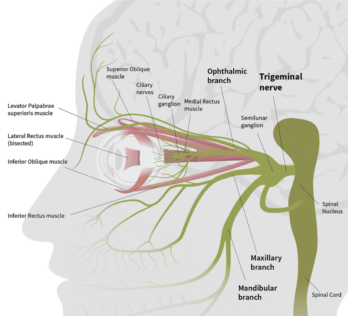 Ocular surface changes occur in both eyes in trigeminal neuralgia.