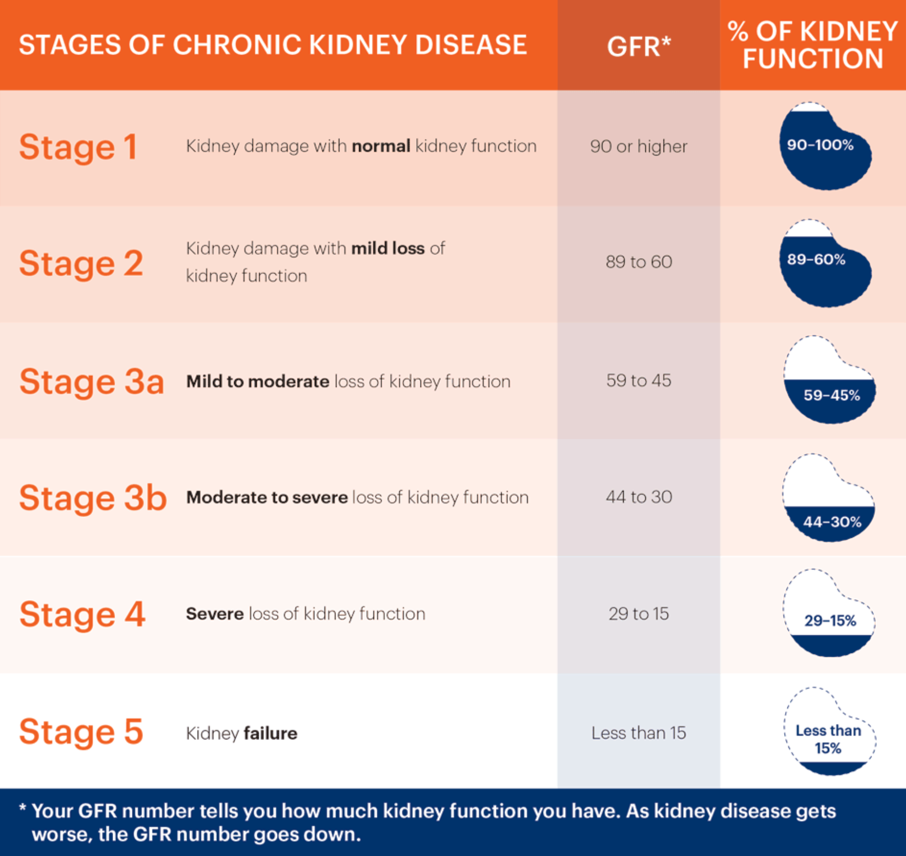 Chronic kidney disease and compromised kidney function are associated with thinner RNFL and GCIPL in both Asian and Caucasian eyes, according to this study. 