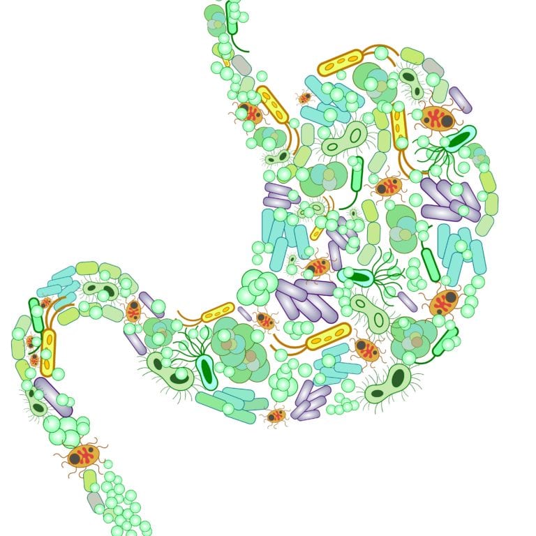 With older age, microbiome changes are linked with degenerative disorders, potentially including those affecting the eye. 