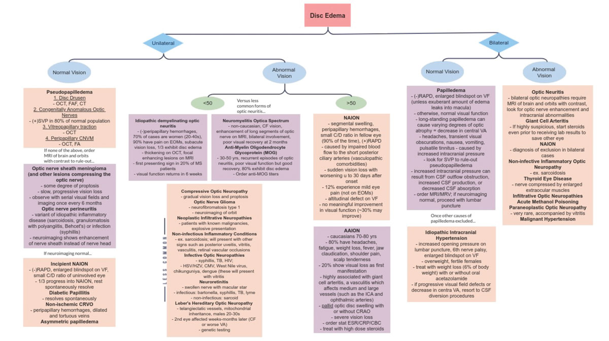 Fig. 10. Flow chart of disc edema differentials.