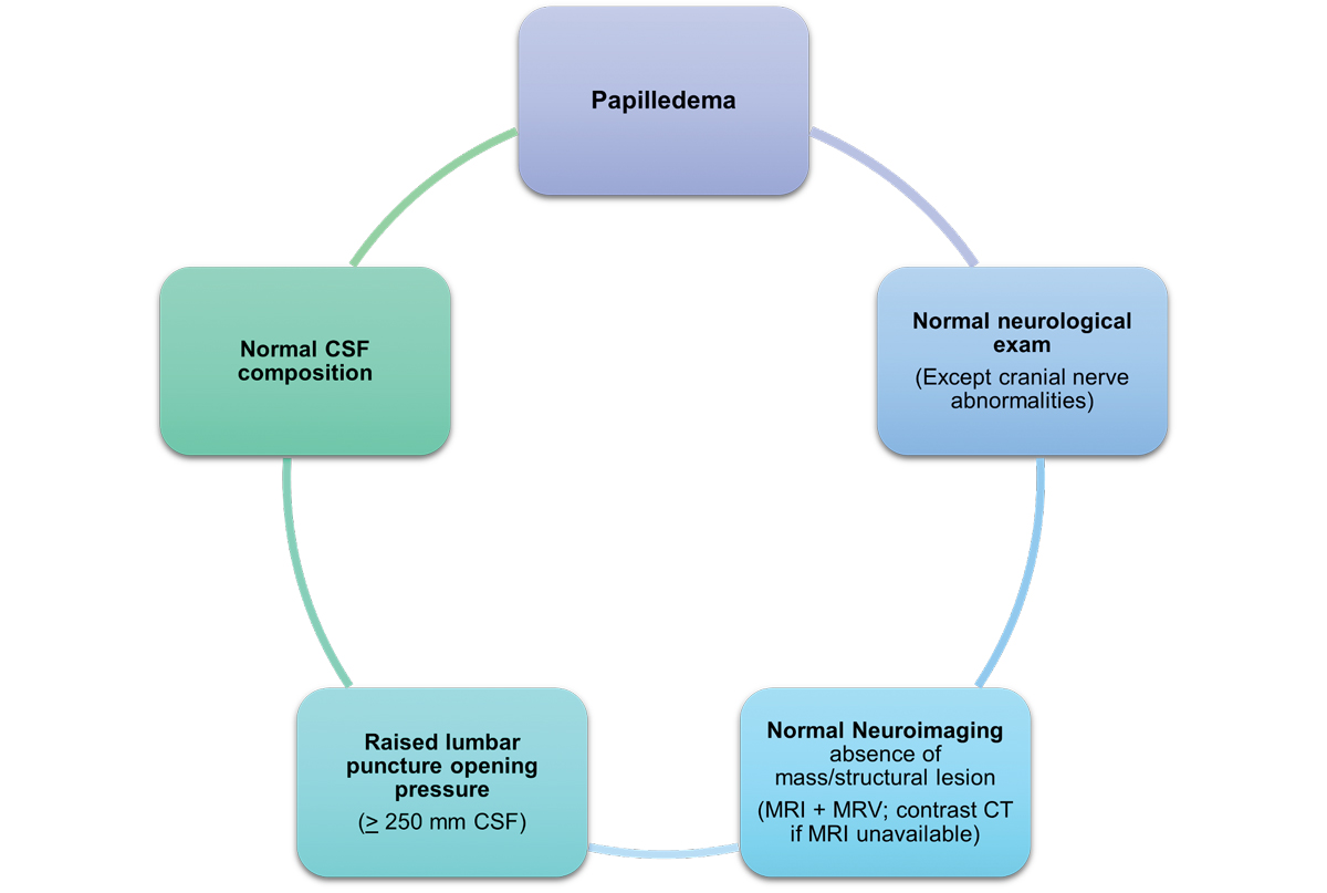 Fig. 7. This image highlights the diagnostic criteria that can diagnose IIH in the presence of papilledema.7